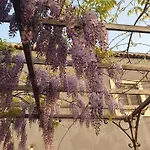 Casa Etnea Kır Evi *
