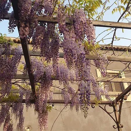 卡萨埃特纳酒店 乡村民宿 *