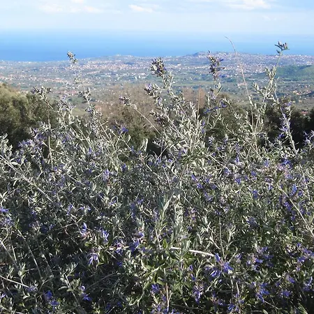 Country house Casa Etnea *
